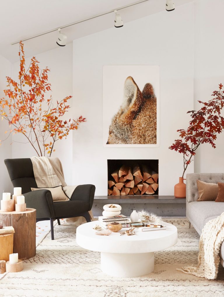 17 Cozy Living Room Ideas for a Warm and Inviting Space